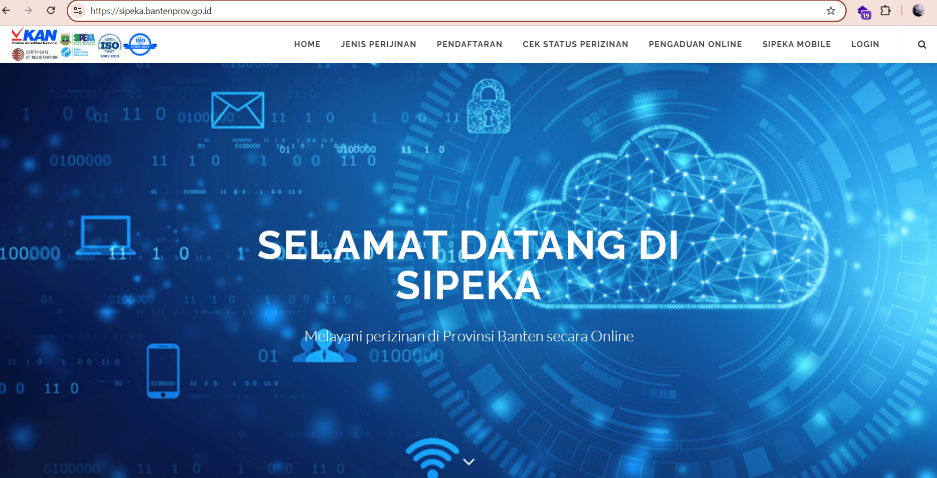 Website Dinas/OPD